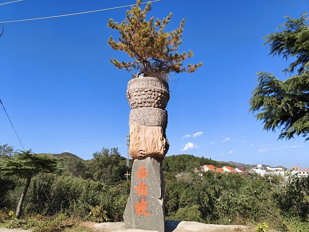 追寻红色足迹  践行志愿精神